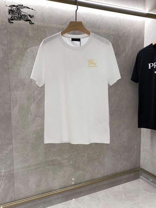 Picture of Burberry T Shirts Short _SKUBurberryS-4XL25tn1019722